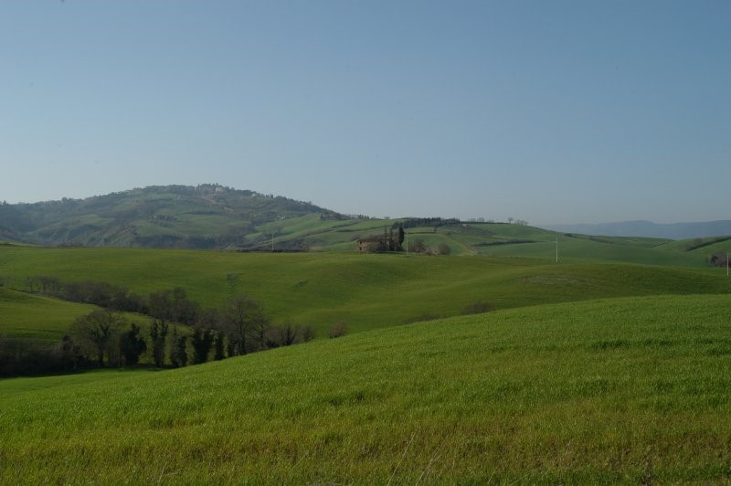 BIBBONA CAMPAGNA
